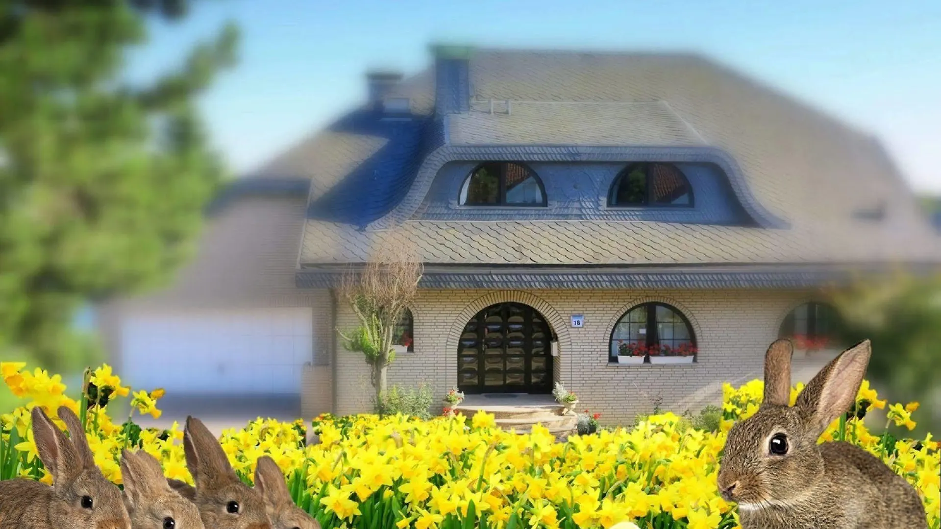 ***** Bed & Breakfast Villa Orchard Frankfurt Germany