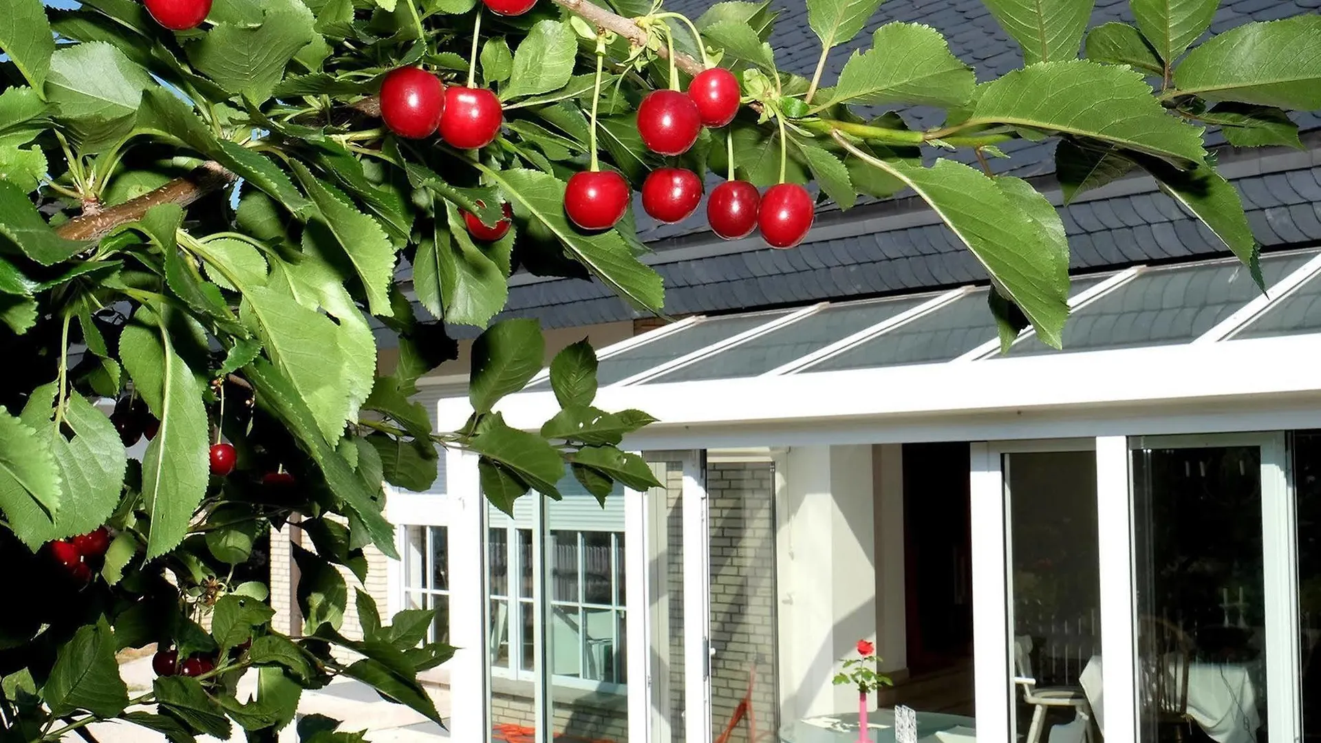 Villa Orchard Frankfurt 5*, Kriftel Germany