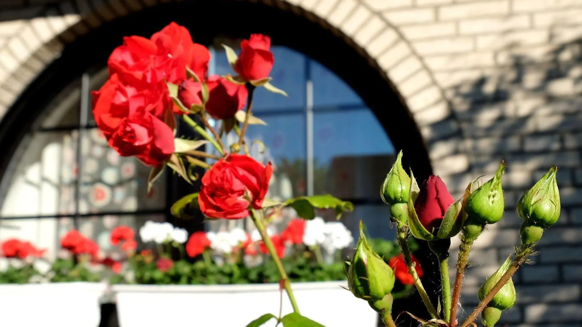 Bed & Breakfast Villa Orchard Frankfurt