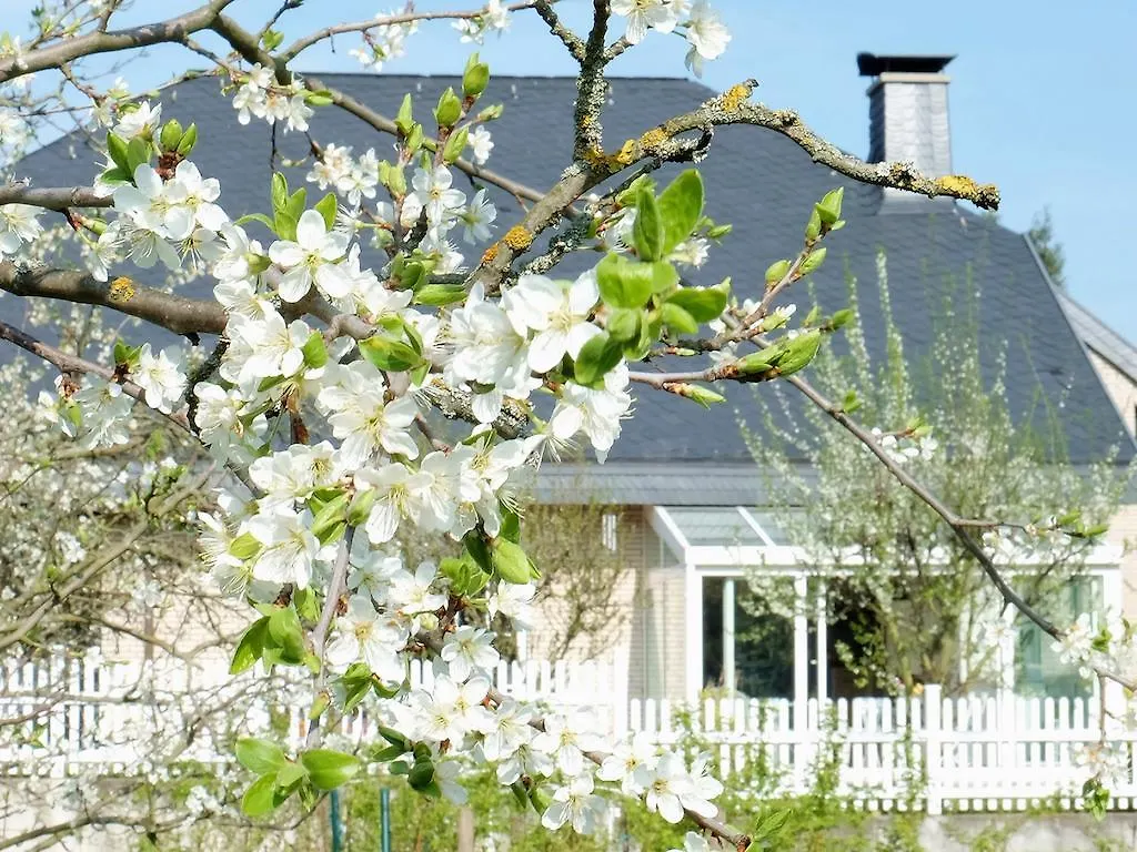***** B&B Villa Orchard Frankfurt Kriftel 독일